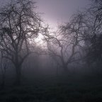 This Bed Is Too…:                   Canadian Horror Takes a Nap With Bed of the Dead