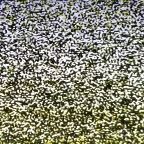 ‘Poltergeist’ Haunts Our Inner Child